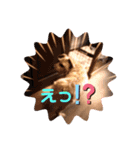 テンたんのつぶやき  その①（個別スタンプ：7）