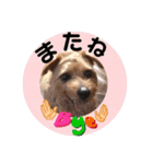 テンたんのつぶやき  その①（個別スタンプ：10）