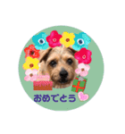 テンたんのつぶやき  その①（個別スタンプ：14）