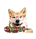 柴犬しずかとあやめ（個別スタンプ：4）