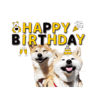柴犬しずかとあやめ（個別スタンプ：32）