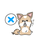 ちわわ と といまん（個別スタンプ：1）