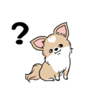 ちわわ と といまん（個別スタンプ：5）