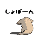 ちわわ と といまん（個別スタンプ：7）