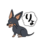 ちわわ と といまん（個別スタンプ：8）