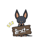 ちわわ と といまん（個別スタンプ：9）