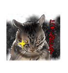 お怒りネコさん（個別スタンプ：1）