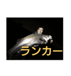 やったぞおい！！パート  2.2（個別スタンプ：7）