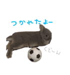 ぐみ☆つきひ（個別スタンプ：7）
