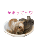 ぐみ☆つきひ（個別スタンプ：15）