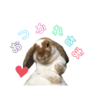 ぐみ☆つきひ（個別スタンプ：16）