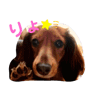 るぅたん☻れいたん（個別スタンプ：3）