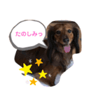るぅたん☻れいたん（個別スタンプ：9）