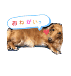 るぅたん☻れいたん（個別スタンプ：12）