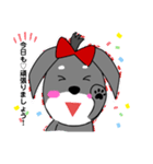 ミニチュア シュナウザー♡RIRI（個別スタンプ：1）