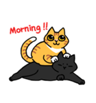 ねこごまとピーナッツの日常(English)（個別スタンプ：1）