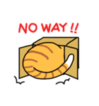 ねこごまとピーナッツの日常(English)（個別スタンプ：12）