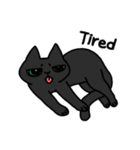 ねこごまとピーナッツの日常(English)（個別スタンプ：17）