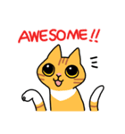 ねこごまとピーナッツの日常(English)（個別スタンプ：18）