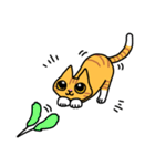 ねこごまとピーナッツの日常(English)（個別スタンプ：19）