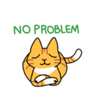 ねこごまとピーナッツの日常(English)（個別スタンプ：25）