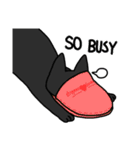 ねこごまとピーナッツの日常(English)（個別スタンプ：33）