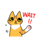 ねこごまとピーナッツの日常(English)（個別スタンプ：39）