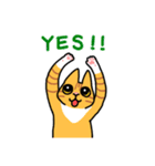 ねこごまとピーナッツの日常(English)（個別スタンプ：40）