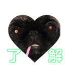モコペコ❤️（個別スタンプ：6）
