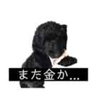真っ黒ダップー2スタンプ（個別スタンプ：7）