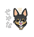 MIX犬 ポメパピさんの日常スタンプ（個別スタンプ：1）