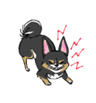 MIX犬 ポメパピさんの日常スタンプ（個別スタンプ：2）