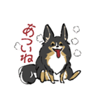 MIX犬 ポメパピさんの日常スタンプ（個別スタンプ：4）