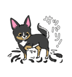 MIX犬 ポメパピさんの日常スタンプ（個別スタンプ：5）