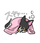 MIX犬 ポメパピさんの日常スタンプ（個別スタンプ：6）