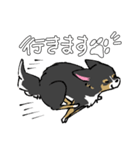 MIX犬 ポメパピさんの日常スタンプ（個別スタンプ：8）