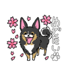 MIX犬 ポメパピさんの日常スタンプ（個別スタンプ：9）