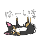 MIX犬 ポメパピさんの日常スタンプ（個別スタンプ：11）