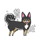 MIX犬 ポメパピさんの日常スタンプ（個別スタンプ：12）