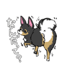 MIX犬 ポメパピさんの日常スタンプ（個別スタンプ：14）