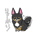 MIX犬 ポメパピさんの日常スタンプ（個別スタンプ：15）