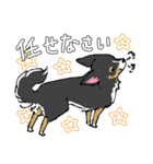 MIX犬 ポメパピさんの日常スタンプ（個別スタンプ：18）