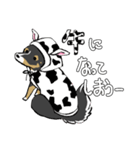 MIX犬 ポメパピさんの日常スタンプ（個別スタンプ：21）