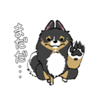 MIX犬 ポメパピさんの日常スタンプ（個別スタンプ：25）