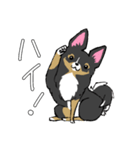 MIX犬 ポメパピさんの日常スタンプ（個別スタンプ：26）