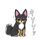 MIX犬 ポメパピさんの日常スタンプ（個別スタンプ：28）