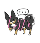 MIX犬 ポメパピさんの日常スタンプ（個別スタンプ：29）