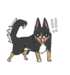 MIX犬 ポメパピさんの日常スタンプ（個別スタンプ：31）