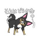 MIX犬 ポメパピさんの日常スタンプ（個別スタンプ：33）