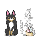 MIX犬 ポメパピさんの日常スタンプ（個別スタンプ：34）